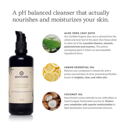 Annmarie Skin Care Aloe Herb Cleanser (100ml)