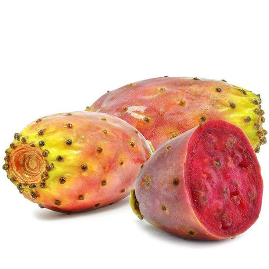 Qualerex Beauty Pure Prickly Pear Seed Oil • Rare, Cold-Pressed Beauty Oil for Brightening, Firming & Elasticity
