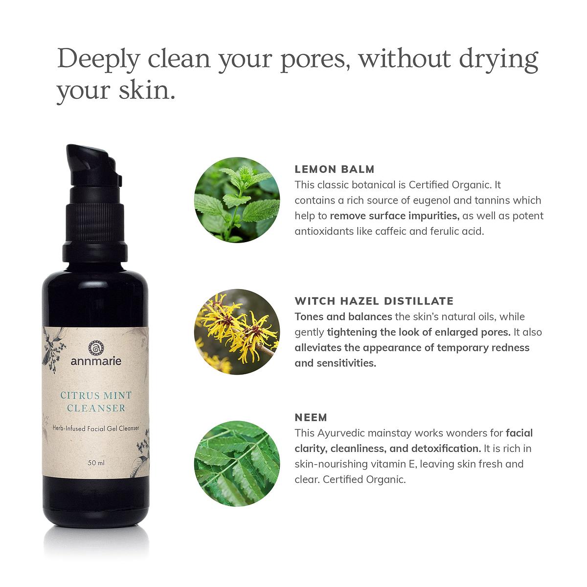 Annmarie Skin Care Citrus Mint Cleanser (50ml)