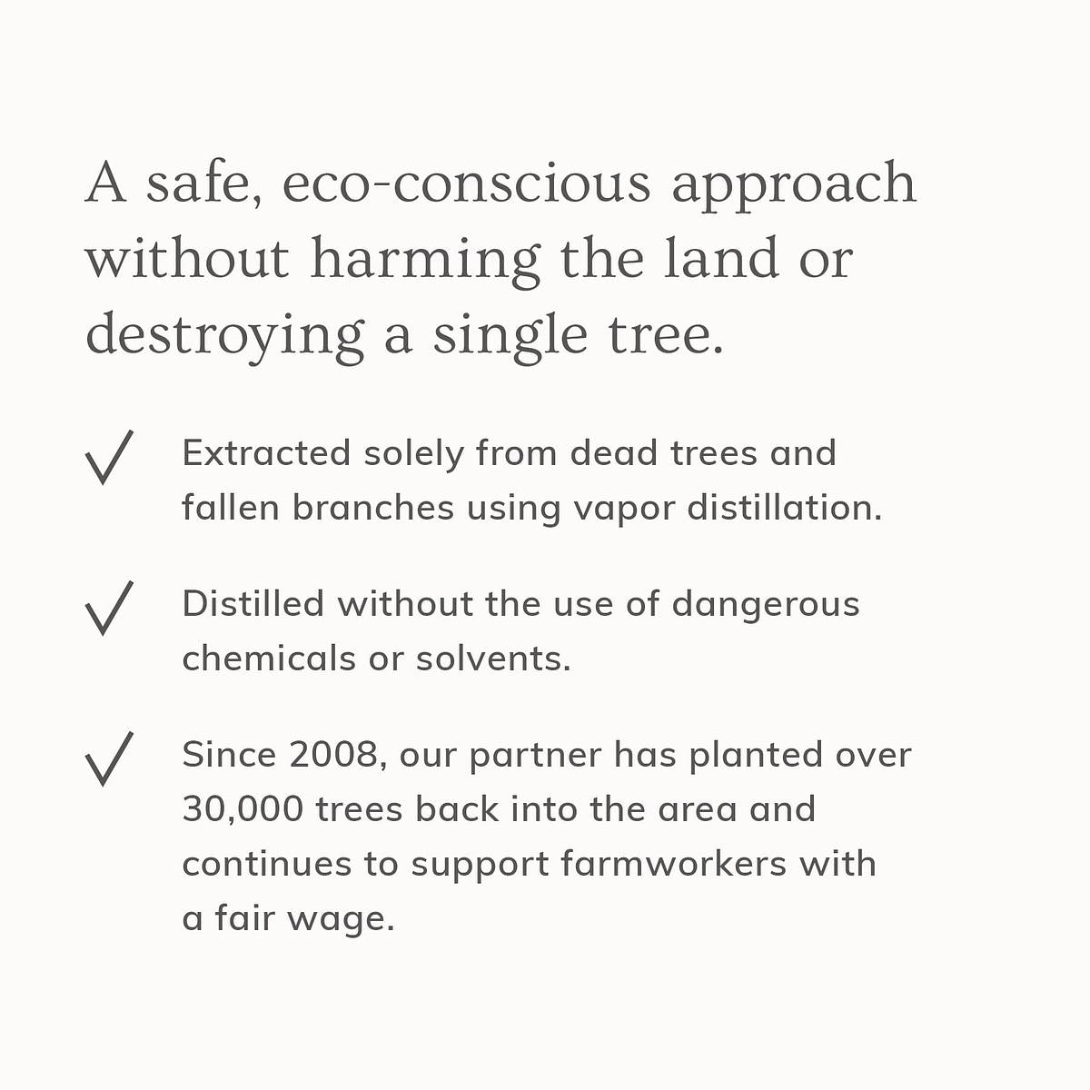 Annmarie Skin Care Palo Santo Body Butter - Rich & Decadent Body Treatment (200 ml)