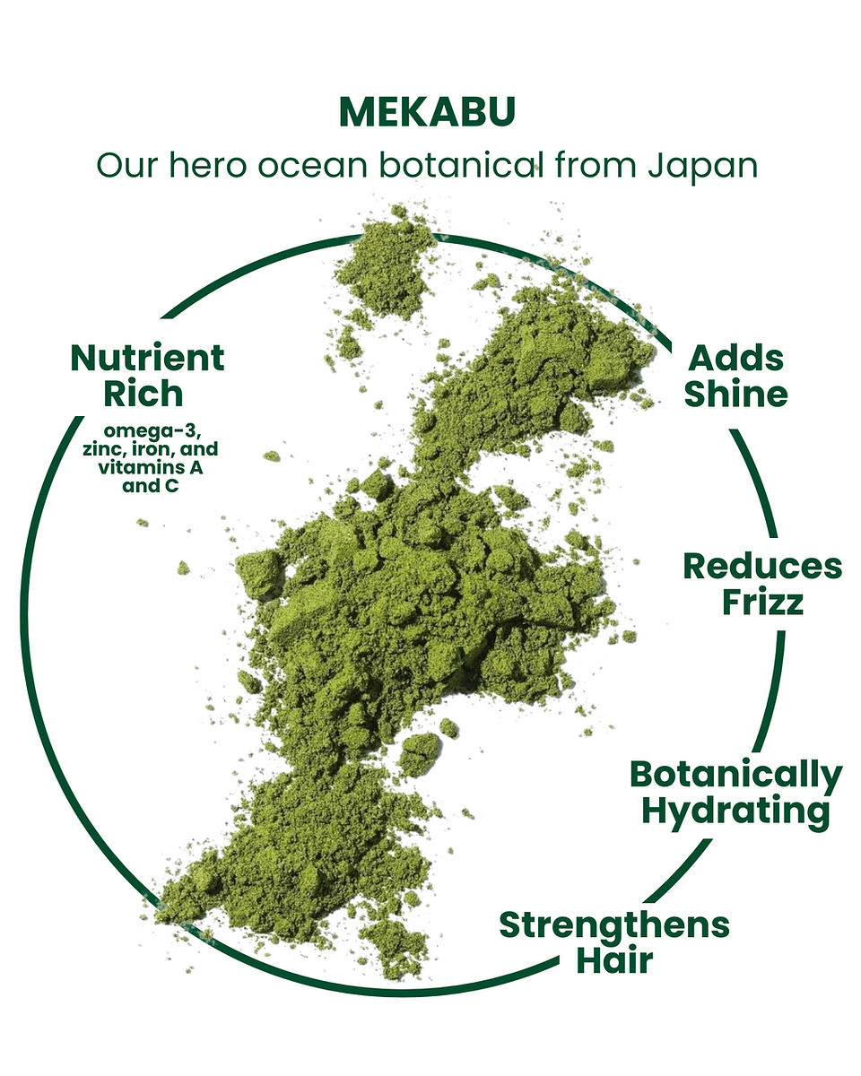 Masami Mekabu Hydrating Salon Size Shampoo