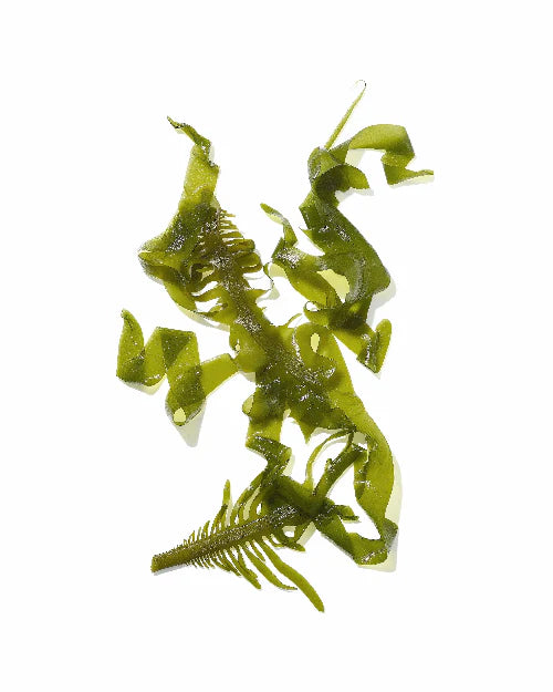 Masami Mekabu Hydrating Salon Size Conditioner