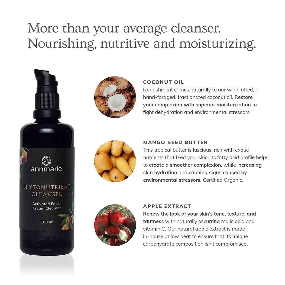 Annmarie Skin Care Phytonutrient Cleanser - Activated Facial Cream Cleanser (100ml)